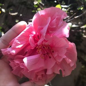 Meet your Posher, Ayleen